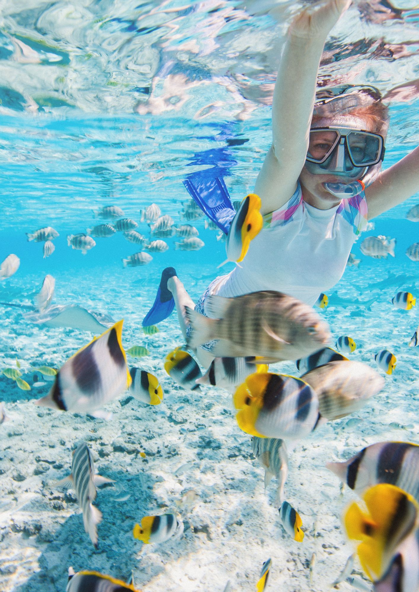 Snorkeling Activity