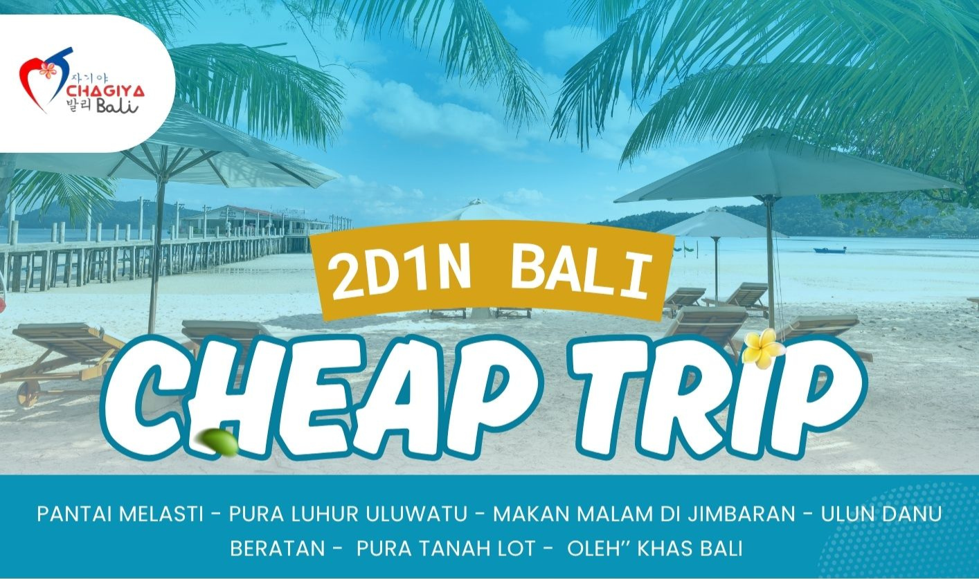 Lush green rainforest