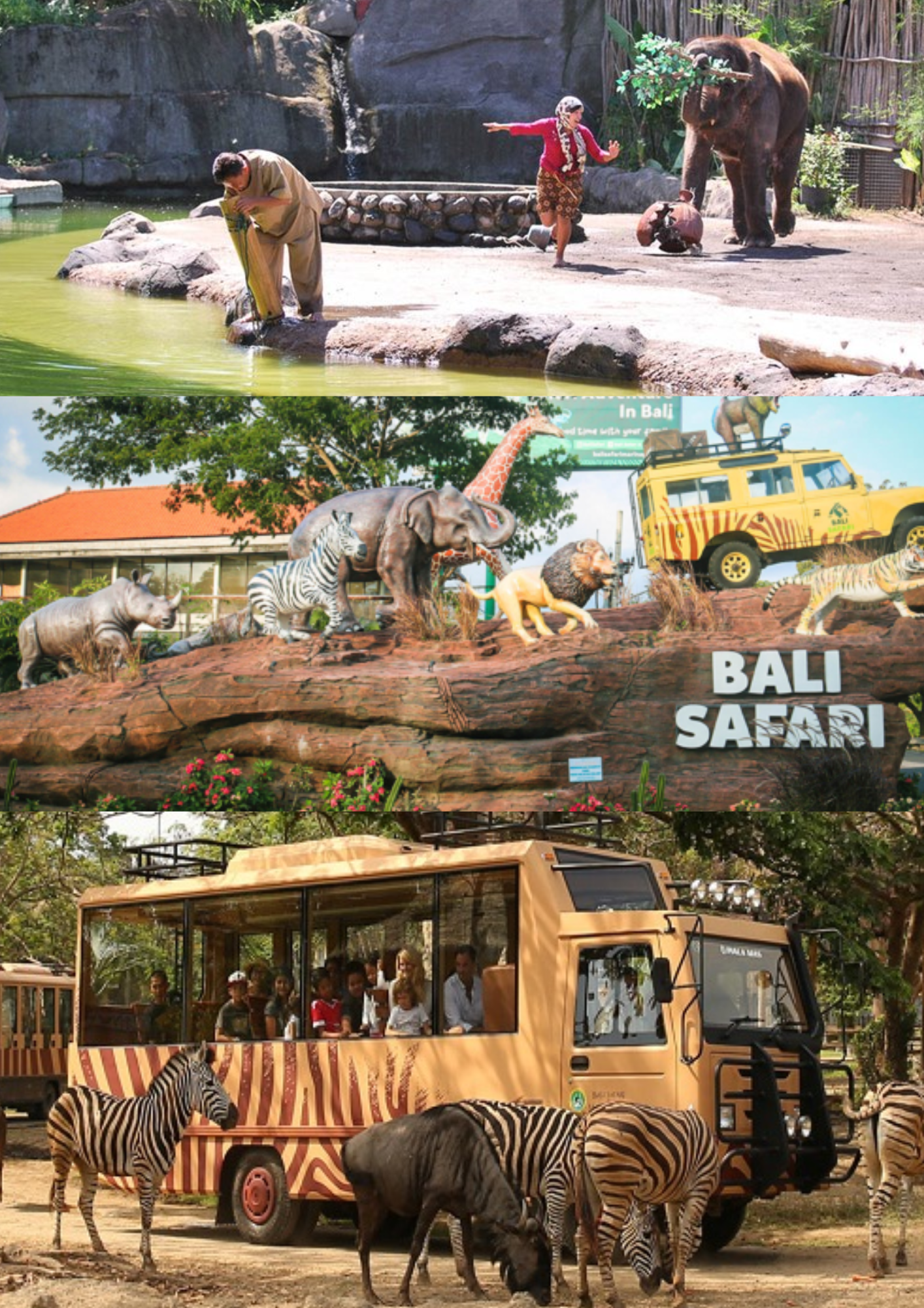 Bali safari (3)